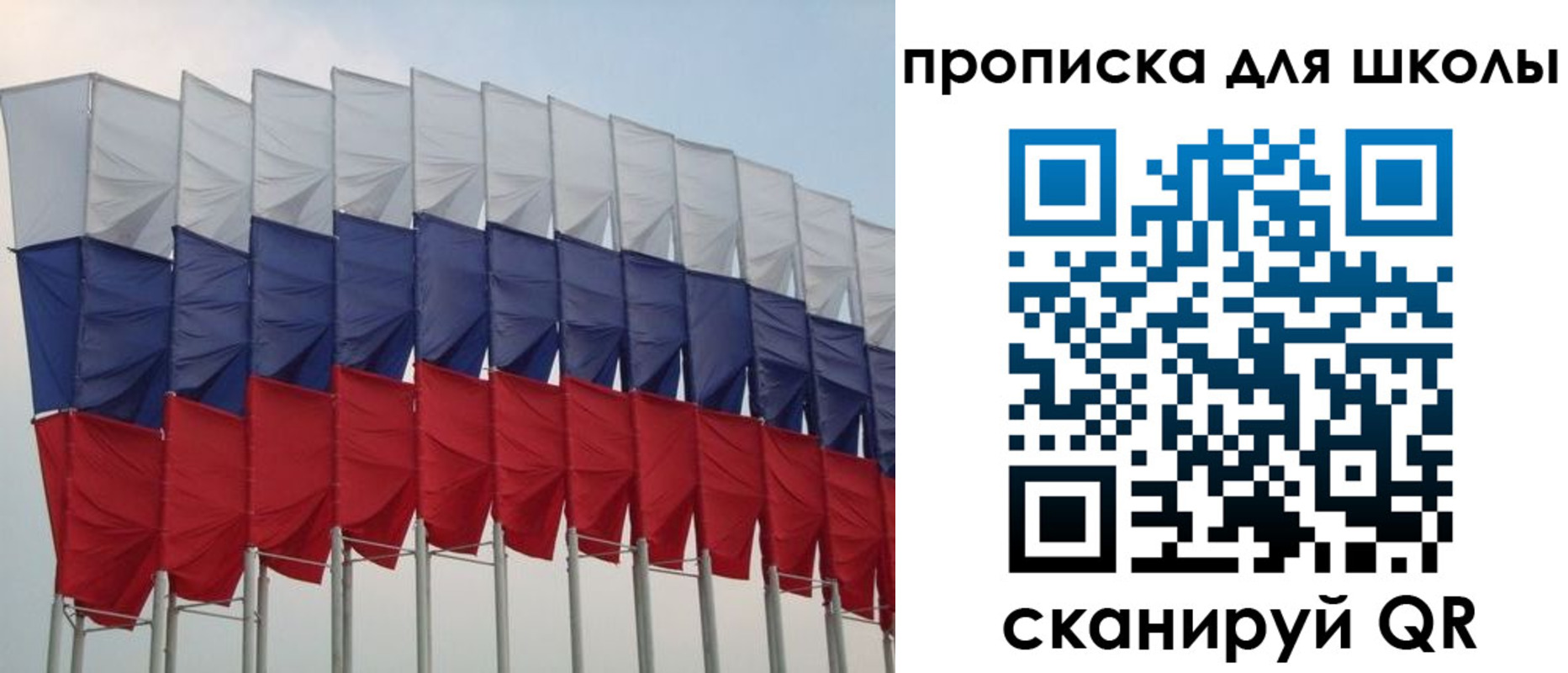 прописка для работы в Сураже